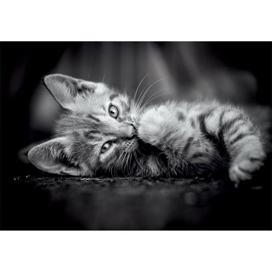 Clementoni High Quality Collection Puzzel Kitten 1000 Stukjes + Poster